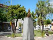 PROJETO VERDE  VIDA 