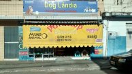 DOG LANDIA - CABEDELO - PB